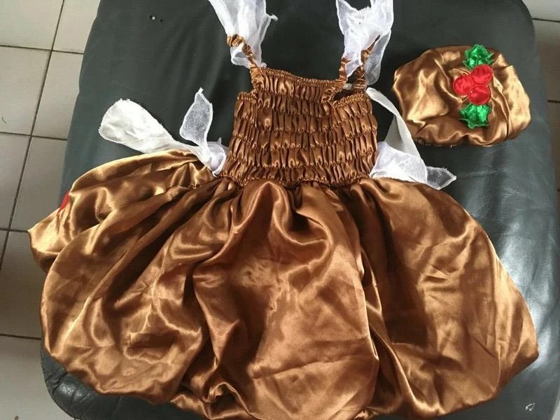Rare and fantastic Pudding baby Christmas dress size 18 months / 2 years New Id – photo 10